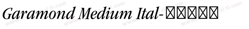 Garamond Medium Ital字体转换